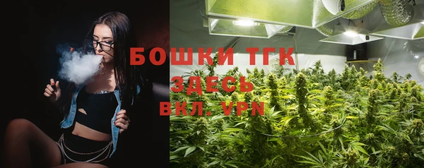 ГАЛЛЮЦИНОГЕННЫЕ ГРИБЫ Белоозёрский