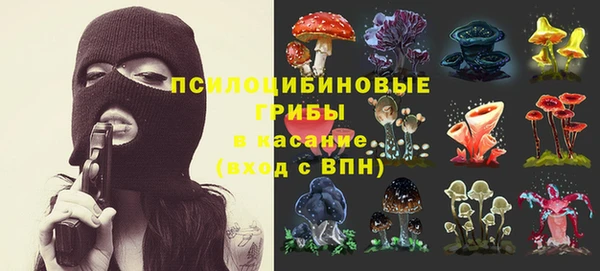 каннабис Белокуриха